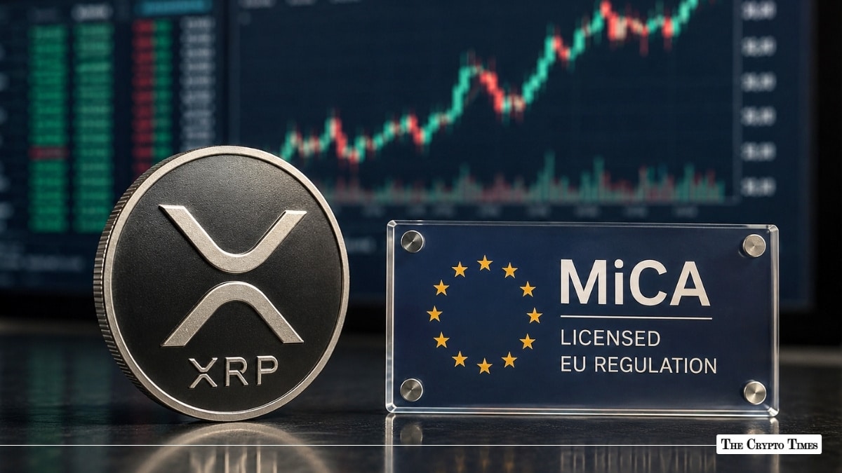 Will XRP Price Recover After Ripple’s MiCA License On-Chain Data Signals Hope