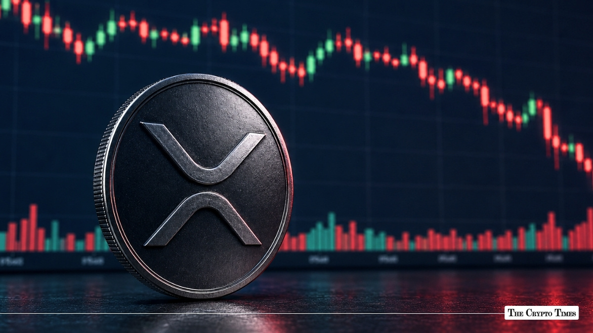 XRP Price Drops to $1.07 as Whale Activity Plummets on XRPL