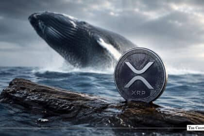 XRP Whale Outflows From Binance Sink to 2-Month Lows