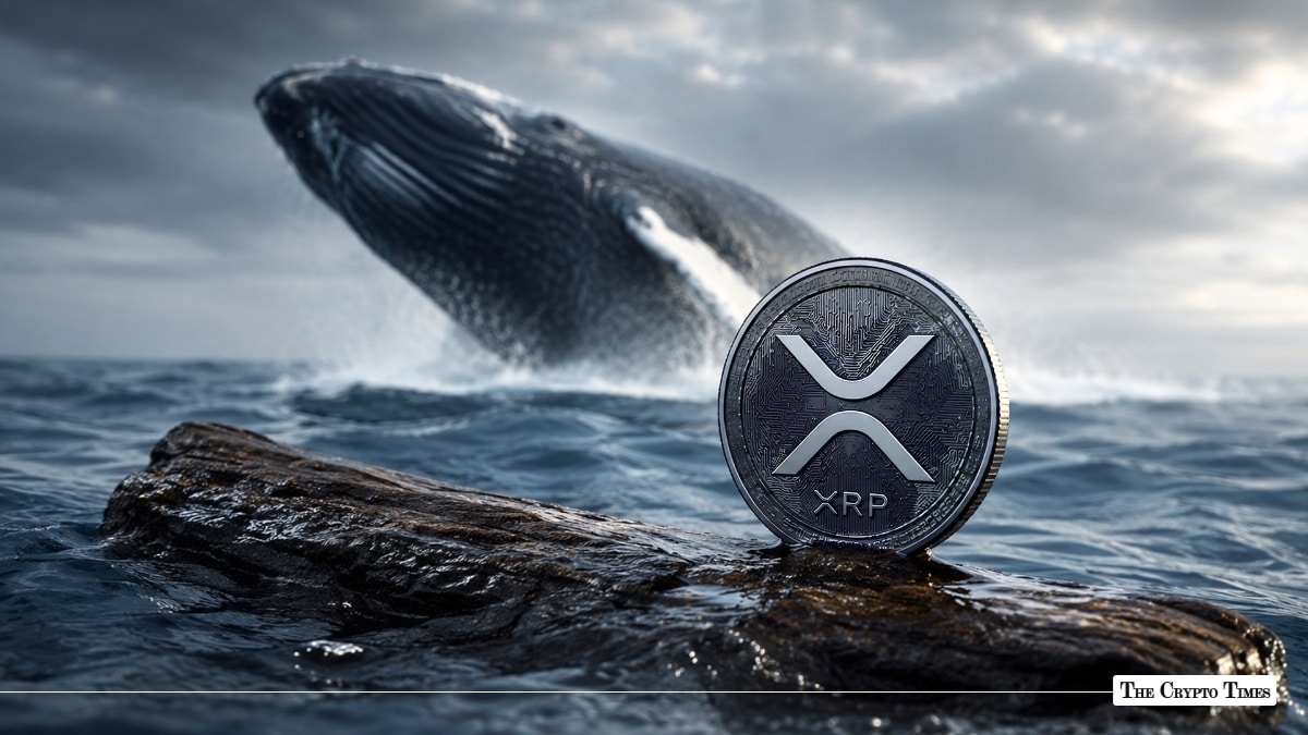 XRP Whale Outflows From Binance Sink to 2-Month Lows