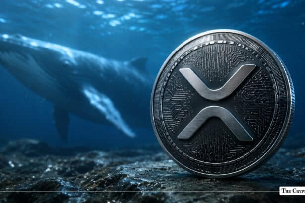 XRP Whales Add 2.8% More Tokens As Price Moves Above $1.16