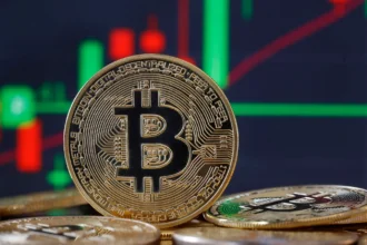 Bitcoin Recorded its Biggest Weekly Gain in History Last Week