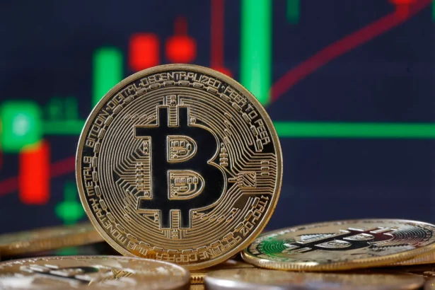 Bitcoin Recorded its Biggest Weekly Gain in History Last Week