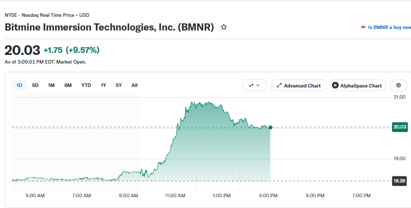 Bitmine price chart as of August 20 at 1:13 IST