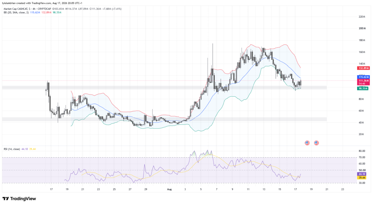 CASHCAT 4 hour price chart as of August 17 (2232 IST)