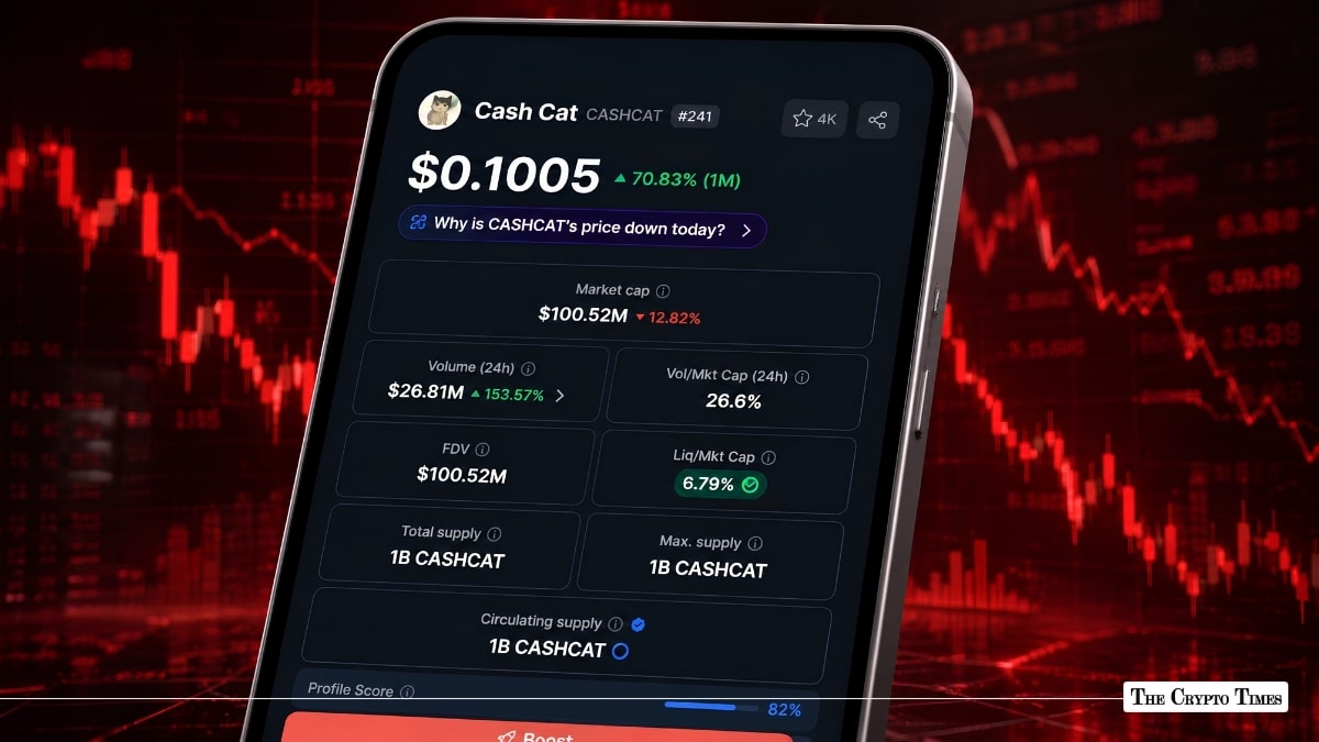 CASHCAT Drops 11% as Traders Watch for a Rebound