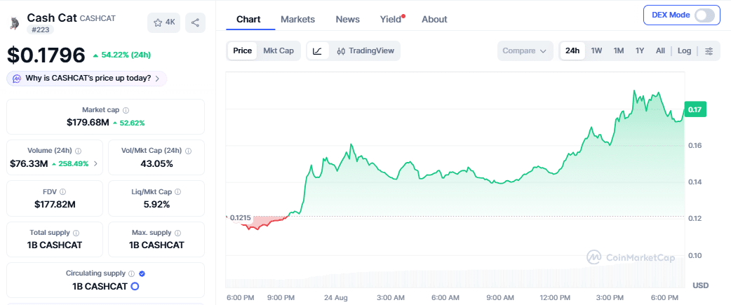 CASHCAT price chart as of August 24 (00 46 IST)
