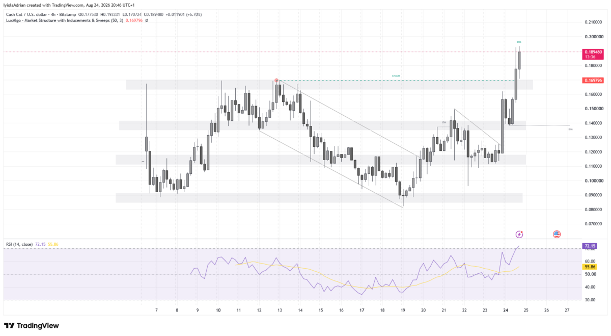 CASHCAT price chart as of August 24 (00 46 IST)