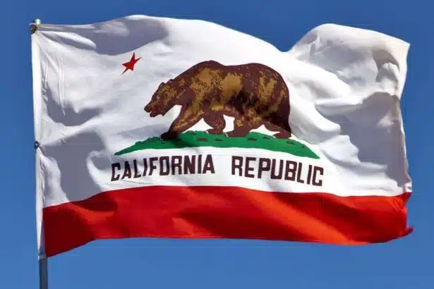 California Moves to Ban Officials From Launching Meme Coins