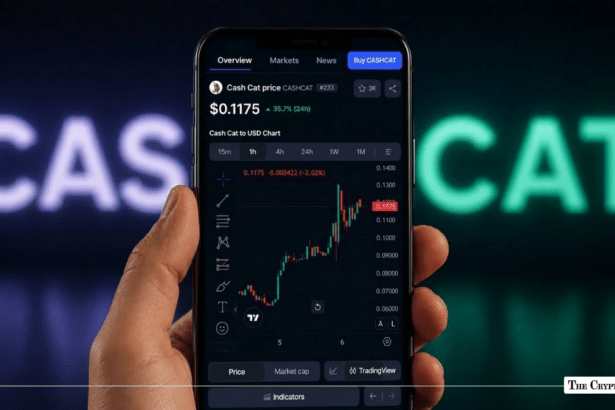 CashCat Meme Coin Surges 35% in a Whale-led Rebound What’s Next