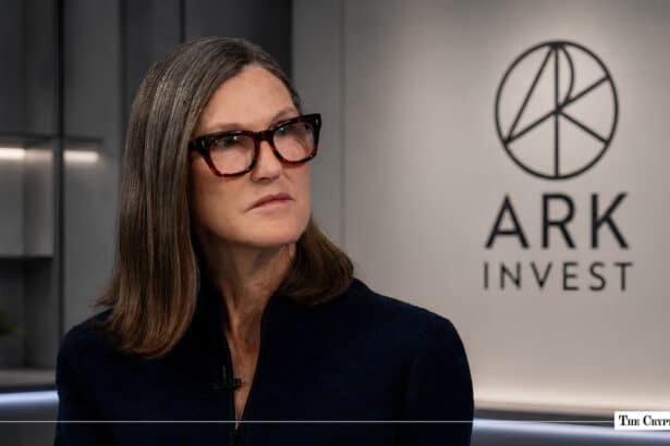 Cathie Wood's ARK Invest Buys SpaceX, Securitize & Solana ETF, Continues Palantir Sales
