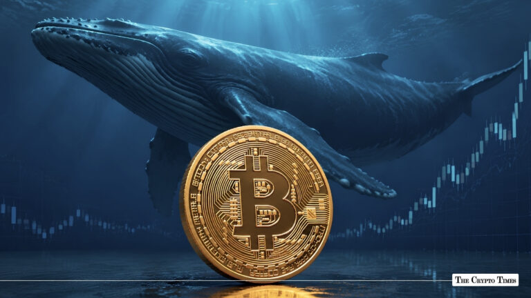 Bitcoin coin positioned underwater in front of a massive humpback whale, set against a background of rising candlestick charts