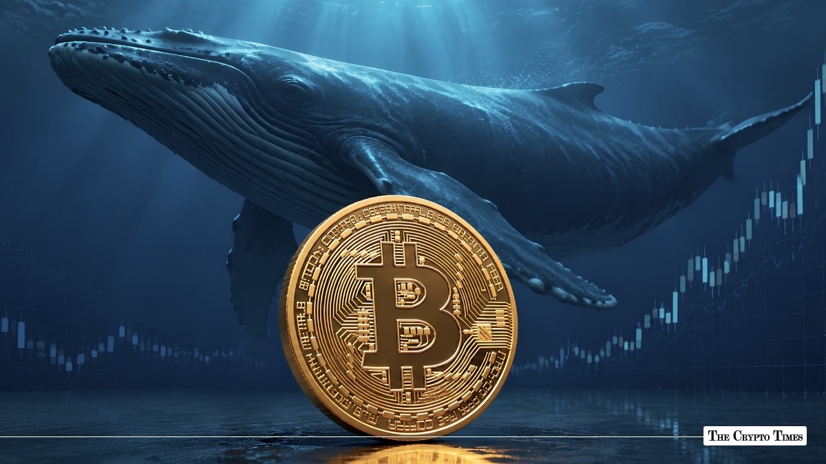 Bitcoin coin positioned underwater in front of a massive humpback whale, set against a background of rising candlestick charts