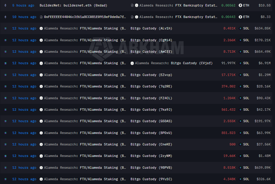 On-Chain Activity and Transfer Details