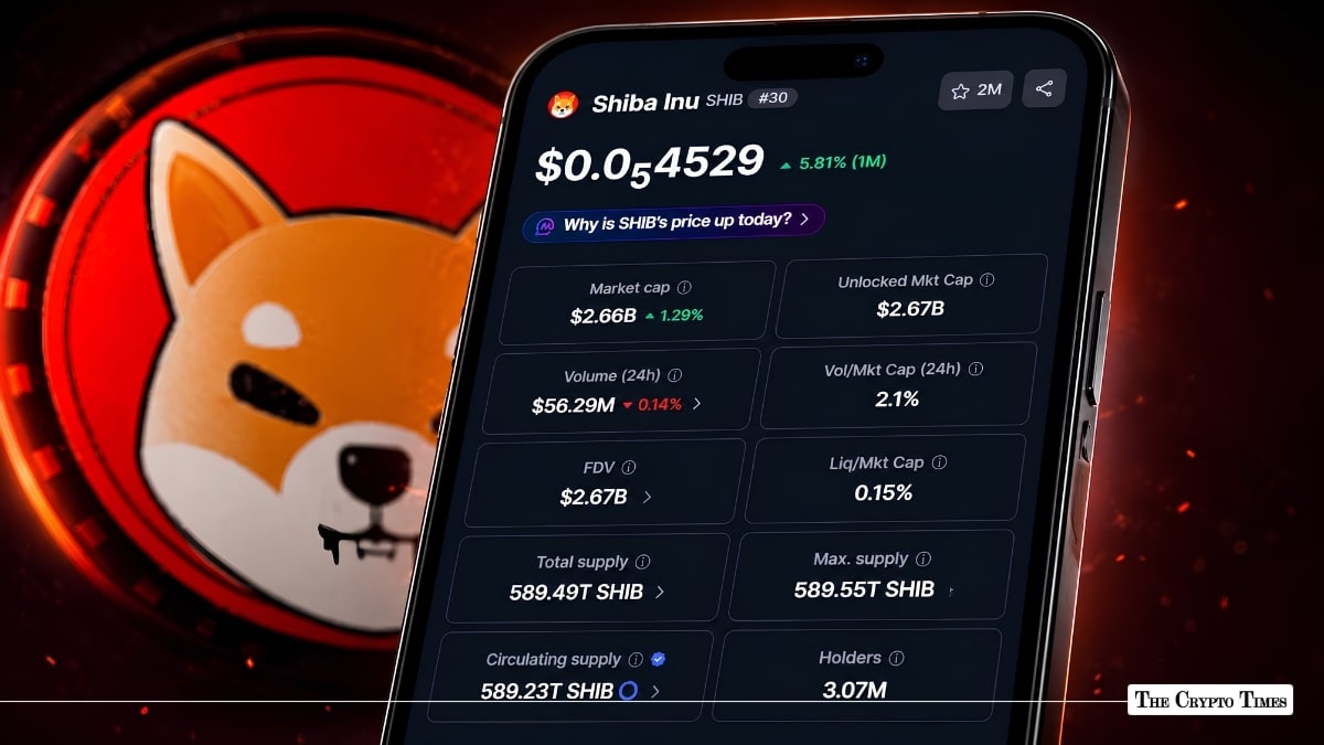 SHIB Burns 224,052 $SHIB in Single Transaction