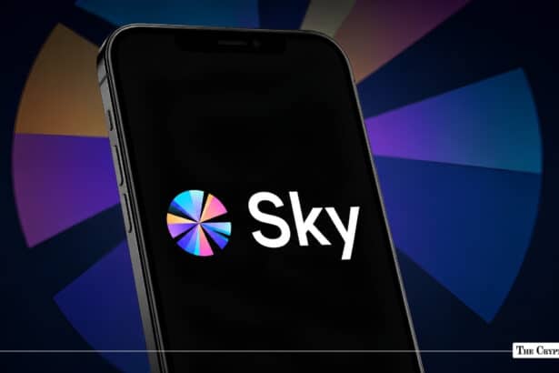 Sky Beats Major Issuers in Tokenized Funds Market Cap
