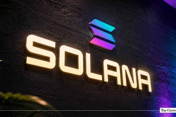 Solana logo displayed on a textured stone wall