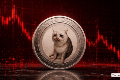 Whales Keep Buying CashCat Meme Coin Despite 60% Price Slump From Peak