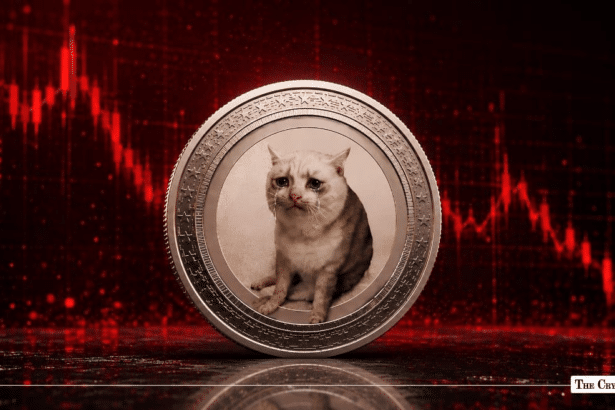 Whales Keep Buying CashCat Meme Coin Despite 60% Price Slump From Peak