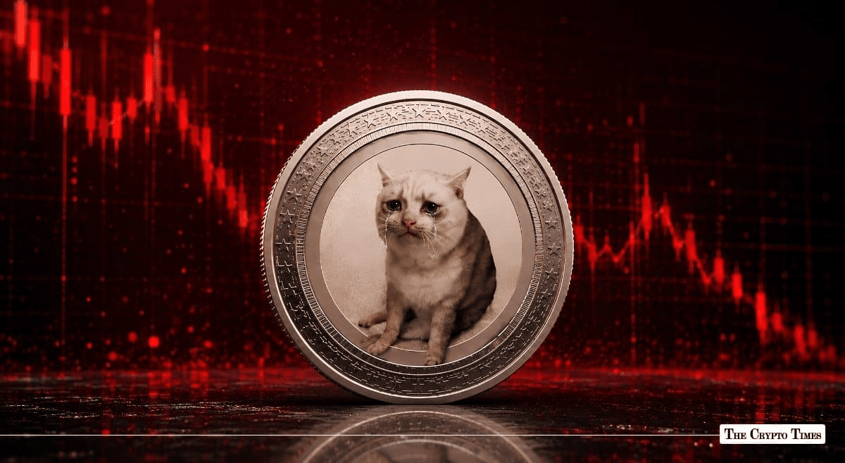 Whales Keep Buying CashCat Meme Coin Despite 60% Price Slump From Peak