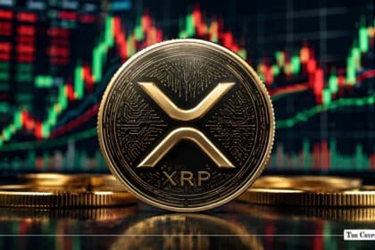 XRP Falls to 2024 Low as Network Activity Rises 35% in August