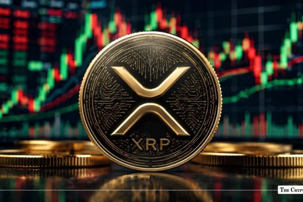 XRP Falls to 2024 Low as Network Activity Rises 35% in August