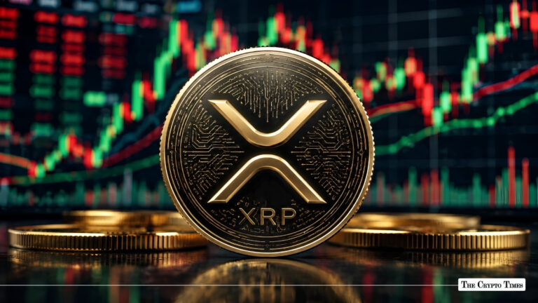 XRP Falls to 2024 Low as Network Activity Rises 35% in August