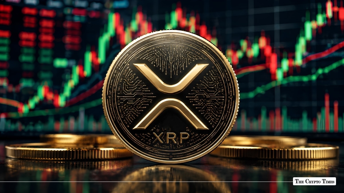 XRP Falls to 2024 Low as Network Activity Rises 35% in August