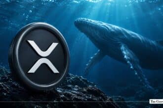 XRP Whale Activity Surges 280% as Large Transactions Spike