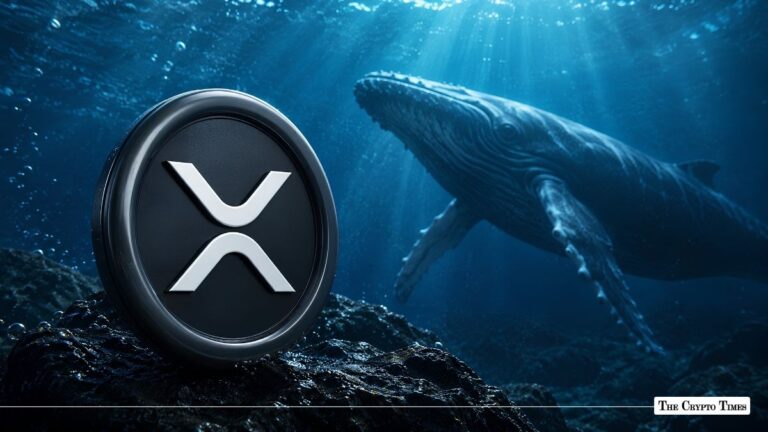 XRP Whale Activity Surges 280% as Large Transactions Spike
