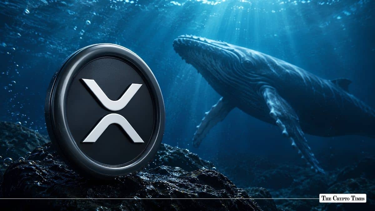 XRP Whale Activity Surges 280% as Large Transactions Spike