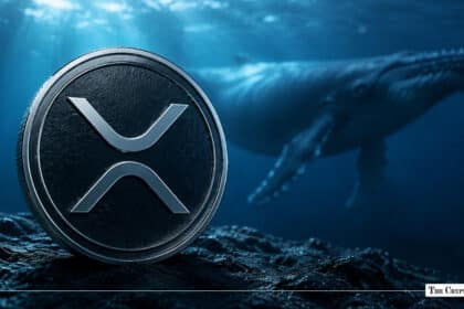  XRP Whales Accumulate 72M Tokens as Price Trades Near $1
