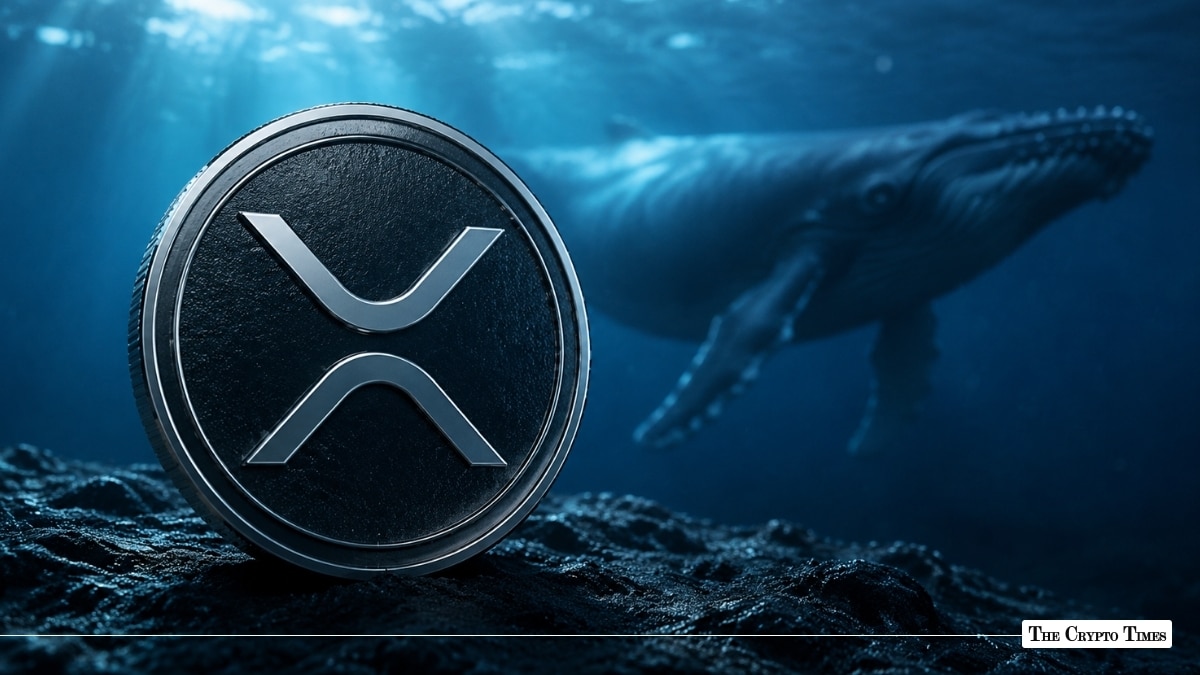 XRP Whales Accumulate 72M Tokens as Price Trades Near $1