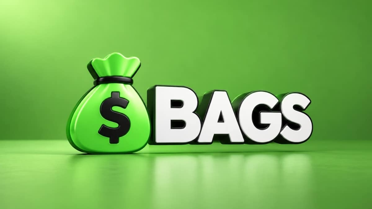 Bags logo featuring green money bag with dollar sign on green background