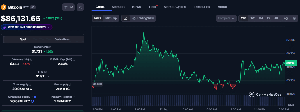 Bitcoin price chart (on September 22 at 2.22 p.m. UTC)