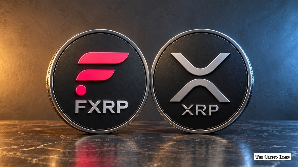 FXRP and XRP cryptocurrency coins side-by-side on a stone surface.