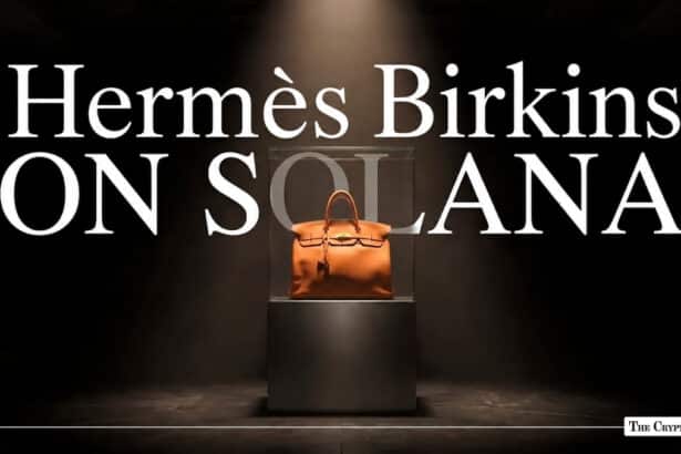Hermès Birkins Head to Solana in Beezie, Luxury Closet Deal