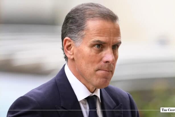 Hunter Biden, American artist
