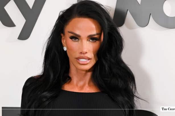 Katie Price, Media personality and model