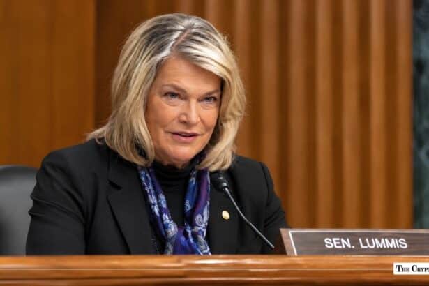 Senator Cynthia Lummis speaking at a Senate committee hearing.