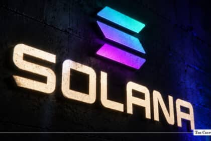 The Solana logo with its gradient icon illuminated on a dark textured wall.
