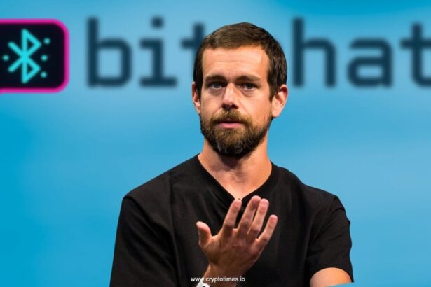 Apple Pulls Jack Dorsey's Bitchat From India App Store