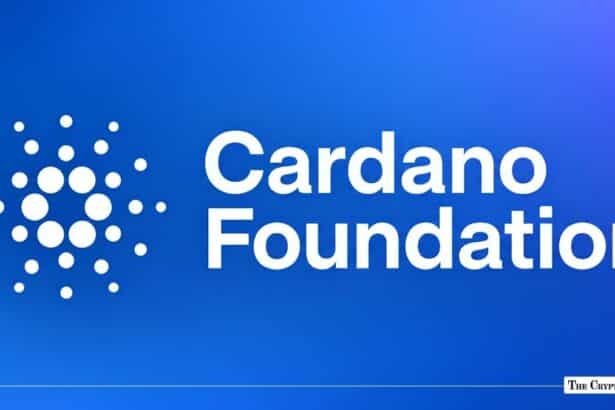 White Cardano Foundation logo and brand name displayed against a blue gradient background.