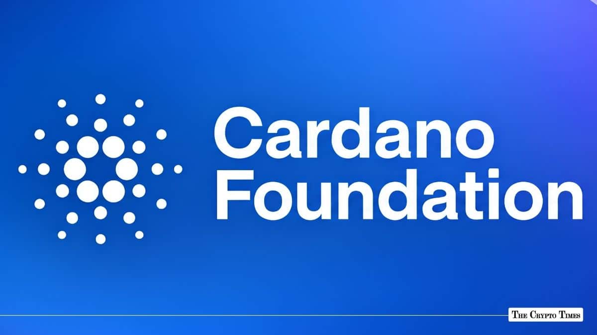 White Cardano Foundation logo and brand name displayed against a blue gradient background.