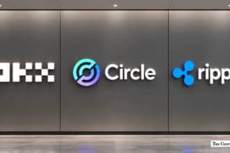 OKX, Circle, and Ripple logos displayed side-by-side on a gray wall.