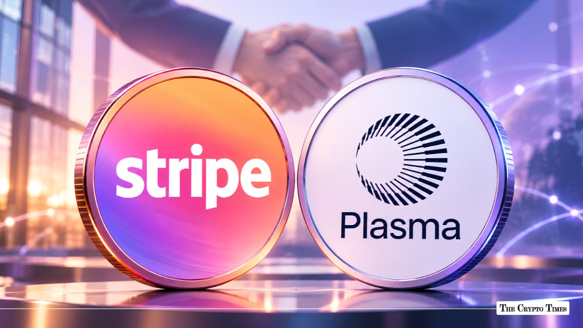 Stripe, Plasma Partner to Develop Multi-Currency Stablecoin Cards